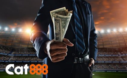 betsport cat888